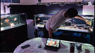 Stunning Underwater home fish media Explore the Beauty of a Plant Aquarium #99