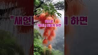 시어머니와 시누이 사이에서 벌어진 통쾌한 이야기