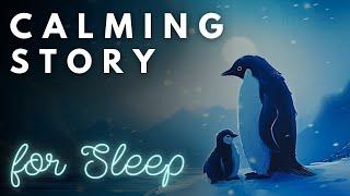 ️ The Perfect Story for Sleep ️ A Relaxing Cruise around Antarctica | A Calming Story for Sleep