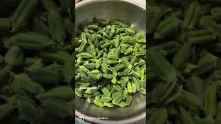 Sesame Seed Drying