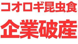 【ぽかぽか速報】コオロギ昆虫食企業・自己破産へ…