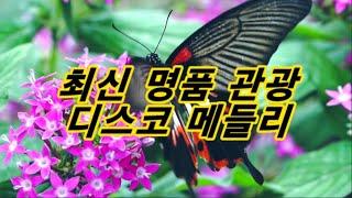 최신 명품 관광 디스코 메들리 큐뮤직