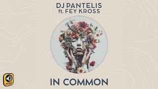 Dj Pantelis ft Fey Kross - In Common (Radio Mix)