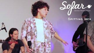 Spitting Ibex - The Seeds of your Sorrow | Sofar Vienna