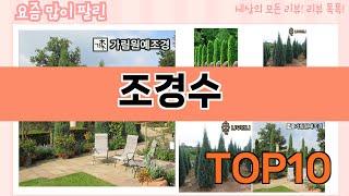 가장 많이 팔린 조경수 추천 Top10!