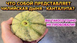 АЖ ПАЛЬЧИКИ ОБЛИЖЕШЬ! ВПЕРВЫЕ попробовал Дыню - Канталупа!