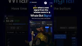 GET SIGNALS FROM CRYPTO WHALES️