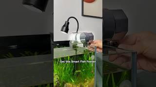 LINK IN BIO Get this Smart Fish Feeder to keep your fish well-fed!