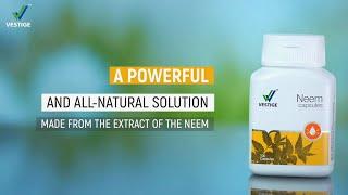 Vestige Neem Capsules | Product AV (Hindi)