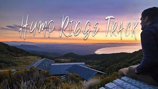 Hiking the Hump Ridge Track | New Zealands New Great Walk