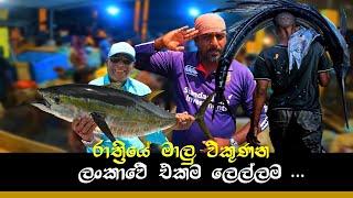 Fresh ම Fresh මාලූ කන්න ආස අයට | Night fish market @wishwatiyubaya 