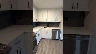 Medical District Chicago Apartments | Atrio | 2 Bedroom  | B2 #1201