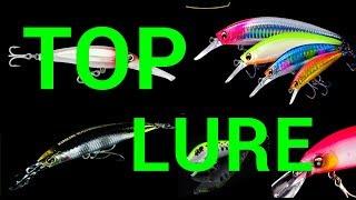 lures casting hampala