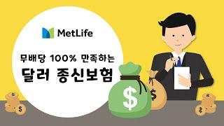 환차익을 볼 수 있는 최고의 조건! 메트라이프 100% 만족하는 달러 종신보험