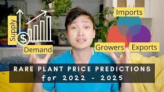 Rare Plants Price Predictions for 2022-2025 | Indoor Houseplants | Ep 139