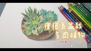 療癒系盆栽～多肉植物～色鉛筆