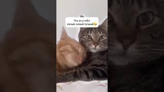 Любовь, #любовь … А у тебя есть, кому признаться в любви? Подписывайся @yuliabeeja #счастье