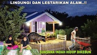 LINDUNGI DAN LESTARIKAN ALAM..!! SUASANA INDAH HIDUP DI KEBUN