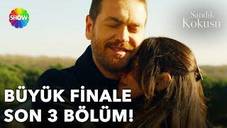 Sandık Kokusu'nun büyük finaline son 3️⃣ bölüm⌛