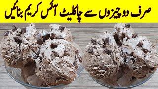 Chocolate Ice Cream Recipe I Only 2 Ingredient Special Homemade Chocolate Ice Cream Recipe