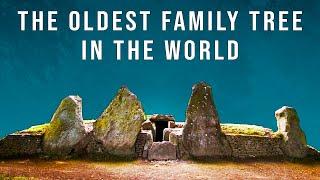 This is the Oldest Family Tree in the World (From the Tombs of Neolithic Britain)