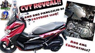 Panggilid Reveal!  | Ano ba ang Panggilid ni Easyride 150Q? | ano bang pwedeng upgrade? 