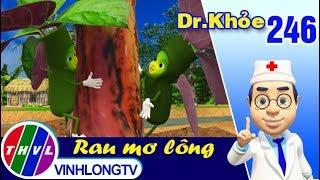 THVL | Dr. Khỏe – Tập 246: Rau mơ lông