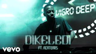 Vigro Deep - Dikeledi (Visualizer) ft. Acatears