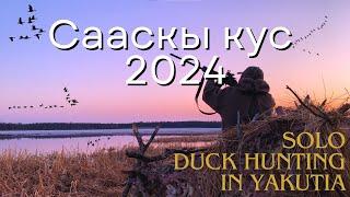 Сааскы кус 2024 Умсаах ытыы / Охота на уток в Якутии 2024 / Yakutia Waterfall hunting with decoys