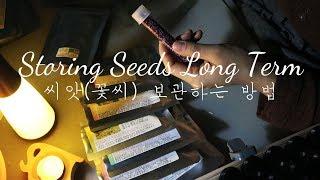씨앗 / 꽃씨 보관하는 방법 Storing Seeds Long Term /가드닝클래스