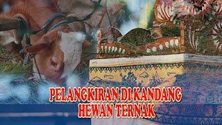 Pelangkiran Di Kandang Hewan Ternak/Hewan Peliharaan