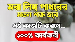 মরা লিঙ্গ ইটের মতন শক্ত হবে এই খবর খেলে | কি করলে বেশিক্ষণ সহবাস করা যায় | সহবাস করার ইসলামী নিয়ম