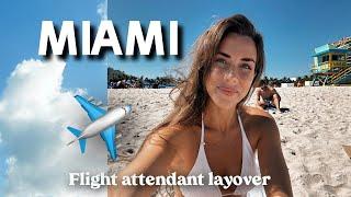 COME TO MIAMI WITH ME! TRADER JOES, TARGET + ROSS SHOPPING HAUL - flight attendant layover ️