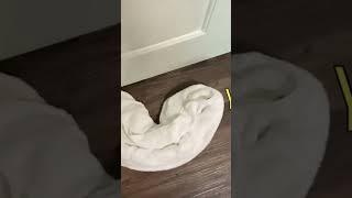 Hotel room security hack #hacks #security #safety