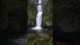 The beauty of the waterfall #Nature #Water #ScenicBeauty #Lovers #Fresh #Wonders #Serenity #Wildlife