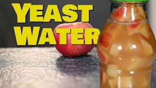 How to make Yeast Water from an Apple? - The easiest way to go!