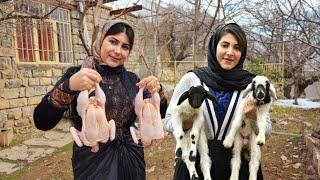 Mix of Traditional and local Village Cooking in IRAN  Iran Village Life