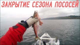 Рыбалка на Каяке - Сезон Лососей Последний День