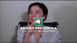 Ilse Salas y 'Niñas Bien' en entrevista con Animal Político - Pájaro Pregunta