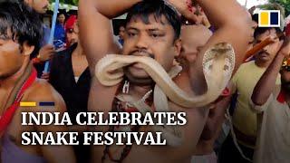 Wild celebration: Indian Hindu festival of snake kicks off with serpent parade