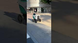 Delivery robot South beach Florida.  #robots #florida #fooddelivery