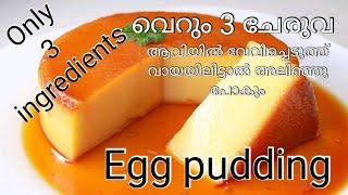 എപ്പോഴും വീട്ടിൽ ഉണ്ടാവുന്ന 3 ചേരുവ കൊണ്ട് ഒരു അടിപൊളി pudding   Easy Caramel pudding in Malayalam