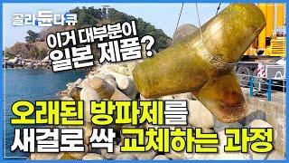 알고 계셨나요? 우리가 아는 흔한 방파제 돌이 대부분 일본 제품이라는 사실!│국산 테트라포드 교체 작업 현장│생산부터 설치까지! 안전 테트라포드의 모든 과정│극한직업│#골라듄다큐