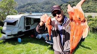 Epic Fishing & Camping Spot near Picton, Marlborough Sounds | Jayco Journey