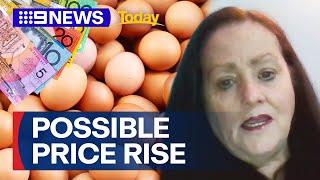 Egg prices could rise after bird flu detected on Victoria and NSW farms | 9 News Australia