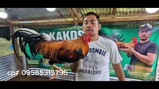 PAHULUGAN SYSTEM PROMO!!!