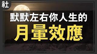 默默左右你人生的「月暈效應」【Buchi社會課#20】