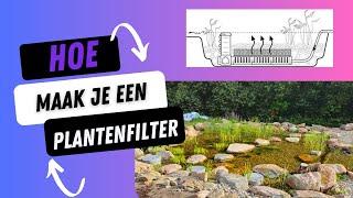 Hoe maak je een goed plantenfilter voor je vijver