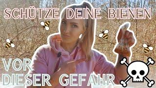 Futterkranzprobe in der Imkerei: So schützt du deine Bienen vor AFB!