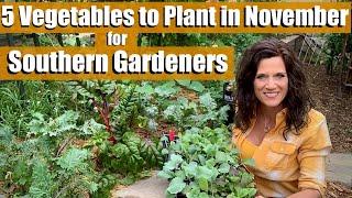 5 Vegetables to Plant in November for Southern Gardeners - It’s Not Too Late! ‍